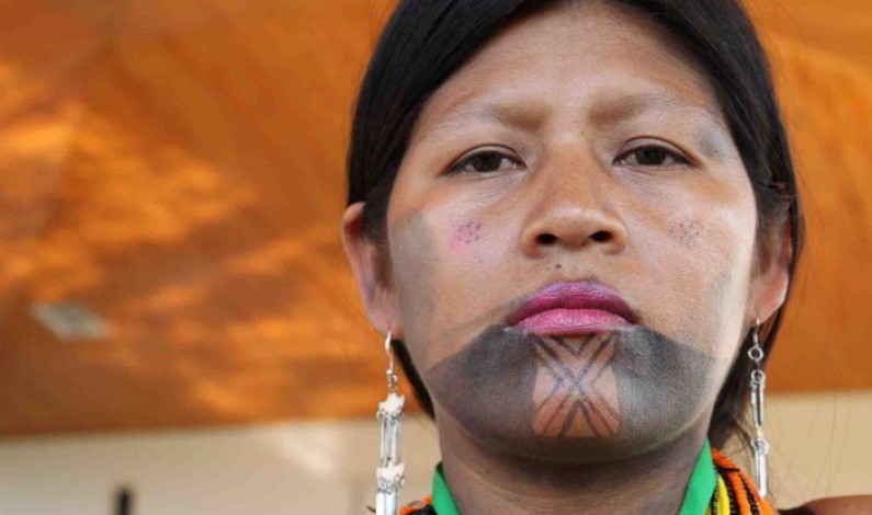 Colombia: a qué le apuestan los indígenas Colombia: a qué le apuestan los indígenas