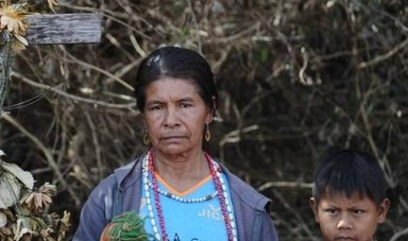 En toda América se pisotean los derechos de los pueblos indígenas En toda América se pisotean los derechos de los pueblos indígenas