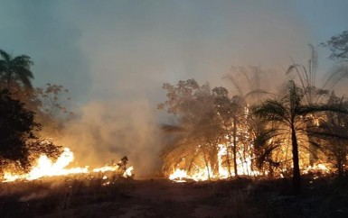 En América del Sur la naturaleza se quema y la política se agota