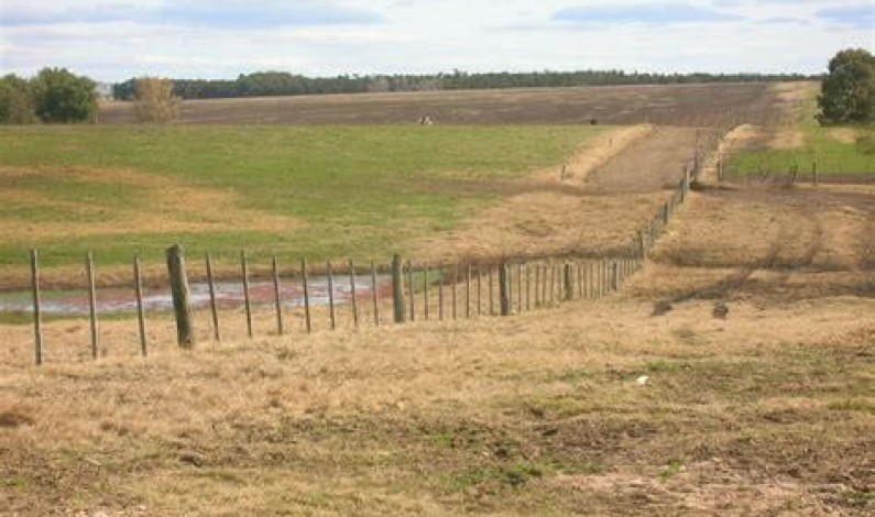 La protesta rural y la lucha por los excedentes en el desarrollo agropecuario La protesta rural y la lucha por los excedentes en el desarrollo agropecuario