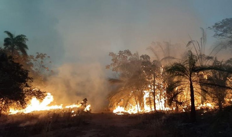 En América del Sur la naturaleza se quema y la política se agota En América del Sur la naturaleza se quema y la política se agota