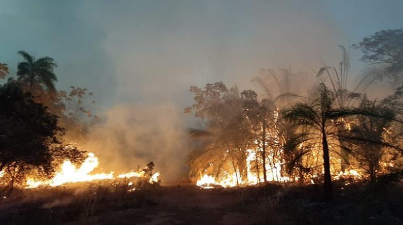 En América del Sur la naturaleza se quema y la política se agota