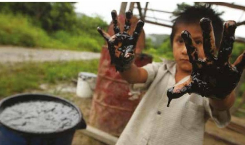 Violación de derechos humanos en la Amazonia Violación de derechos humanos en la Amazonia